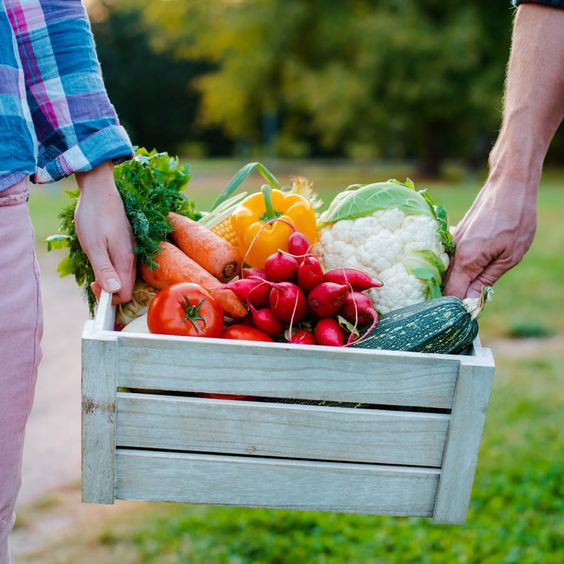 Wooden Box With Farm Vegetables In The Hands Of Men And Women, Close Up.